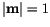 $\vert\mathbf{m}\vert=1$