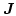 $\boldsymbol{J}$