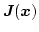 $\boldsymbol{J}(\boldsymbol{x})$