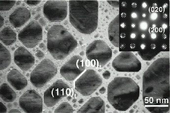 \includegraphics[scale=0.4]{fig/papers/icm2003/fept/paperfig/shima_tem.eps}