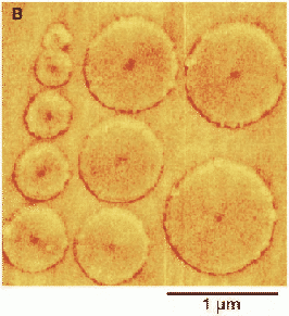 \includegraphics[scale=0.3]{fig/searep/011219/okuno_dots.gif.jpg.eps}