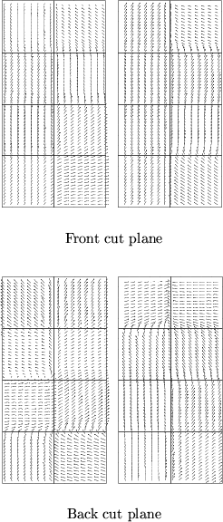 \begin{figure}
 \centering
 \subfigure[Front cut plane]{
 \includegraphics[scale...
 ...ack cut plane]{
 \includegraphics[scale=0.3]{fig/inthexf.ani2.eps} }\end{figure}